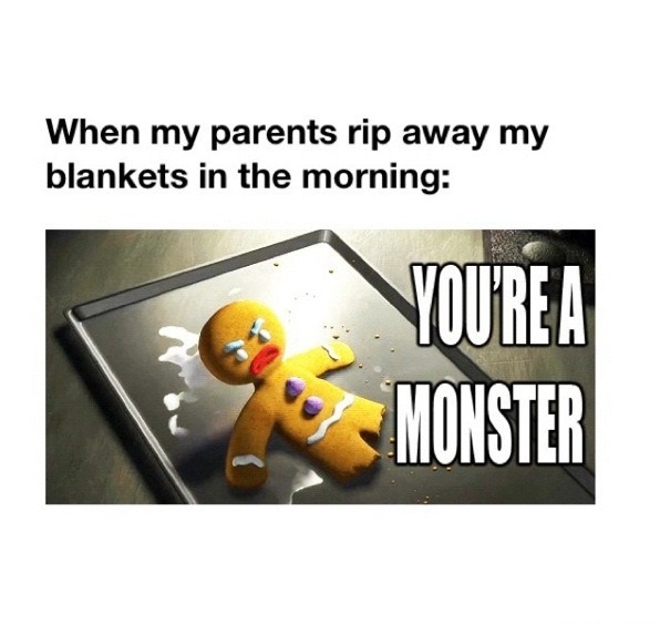 funny-picture-rip-away-blanket