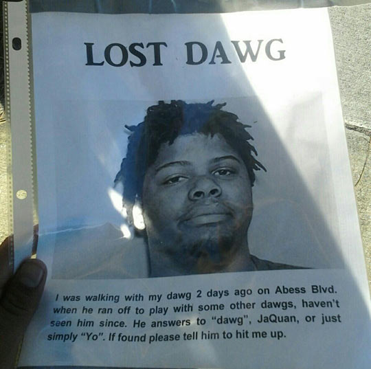 funny-picture-sign-friend-black-lost-dog