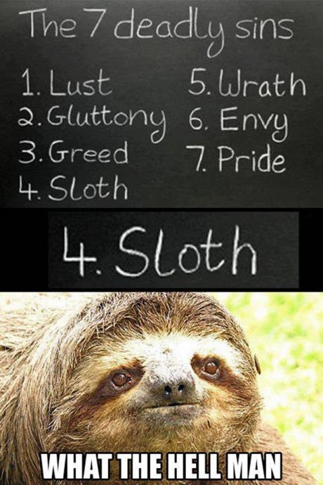 funny-picture-sloth-sin