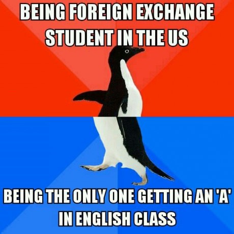 funny-picture-student-foreign-usa