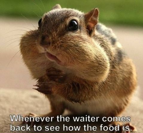 funny-picture-waiter-food