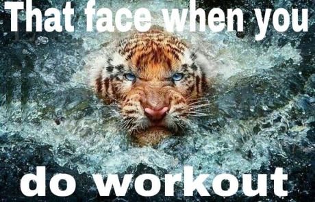 funny-picture-working-out-face