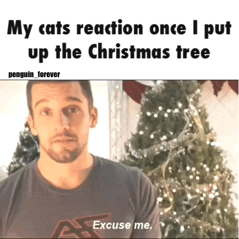 funny-gif-cats-reaction-christmas-tree