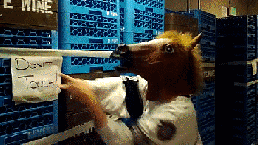 funny-gif-horse-mask-do-not-touch