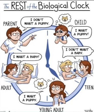 funny-picture-biological-clock