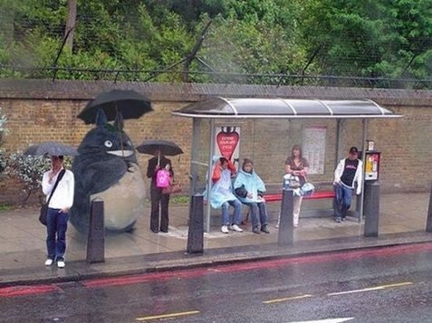 funny-picture-bus-stop-rain