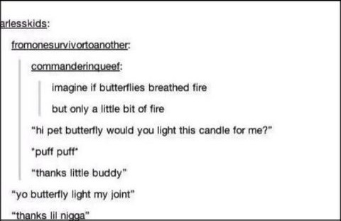 funny-picture-butterflies-fire