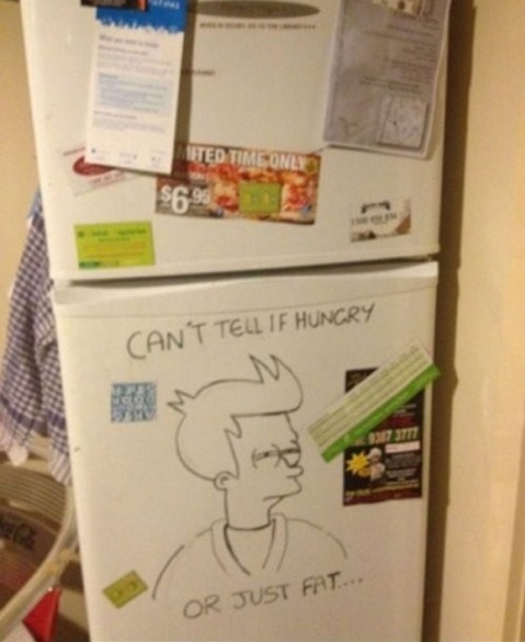 funny-picture-fridge-not-sure