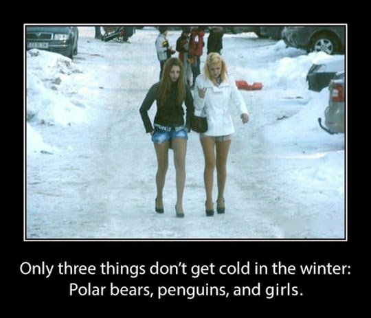 funny-picture-girls-winter-snow-street-shorts