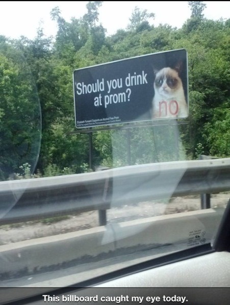 funny-picture-grumpy-cat-billboard