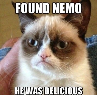 funny-picture-grumpy-cat-found-nemo