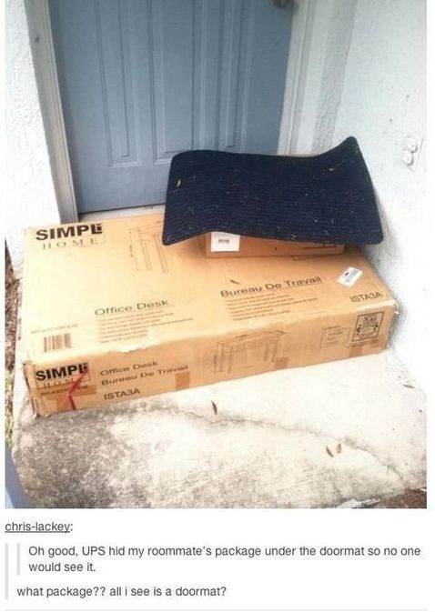 funny-picture-hide-package-doormat