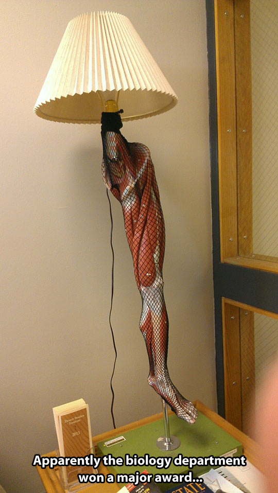 funny-picture-lamp-leg-mannequin-sock-award