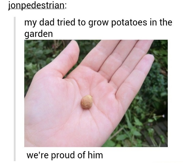 funny-picture-tine-potatoe