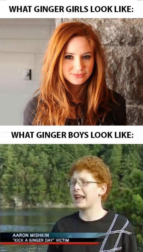 funny-ipcture-ginger-girls-boys