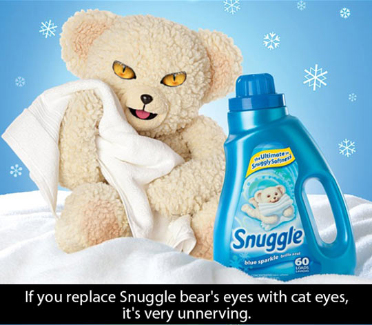 funny-picture-Teddy-bear-Snuggle-eyes