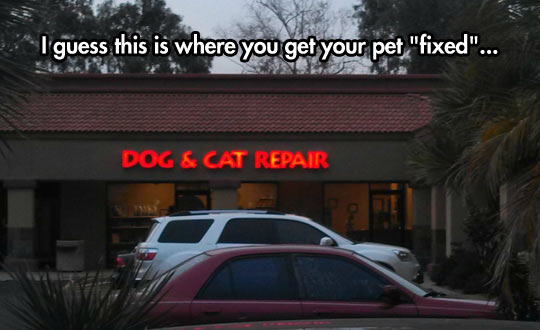 funny-picture-animals-dog-cat-pet-fix
