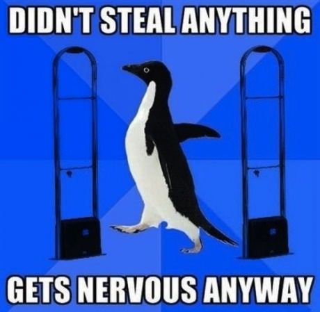 funny-picture-awkward-penguin-supermarket