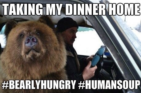 funny-picture-bear-selfie-dinner