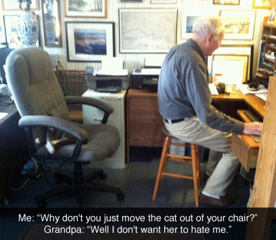 funny-picture-chair-grandfather-computer-bench