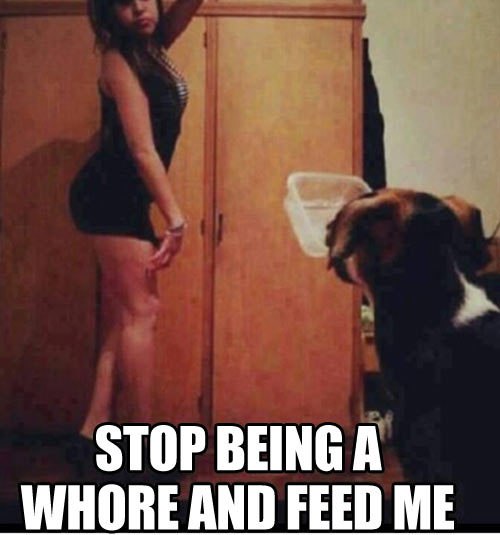 funny-picture-dog-girl-food