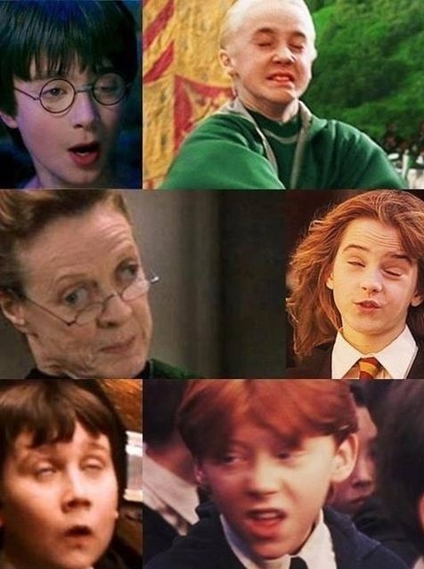 funny-picture-harry-potter-character-derp