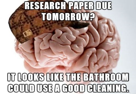 funny-picture-research-paper-brain