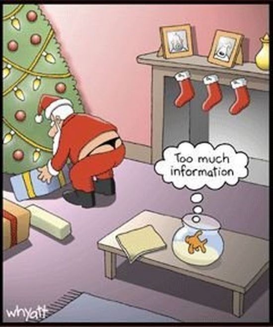 funny-picture-santa-fish-too-much-information