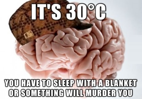 funny-picture-scumbag-brain-blanket