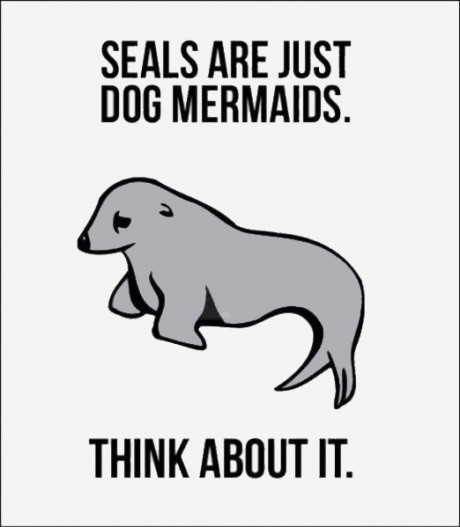 funny-picture-seals-mermaids