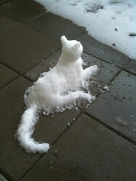 funny-picture-snow-cat-winter-white
