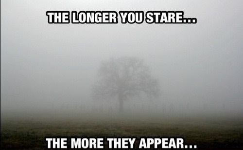 funny-picture-stare-they-appear