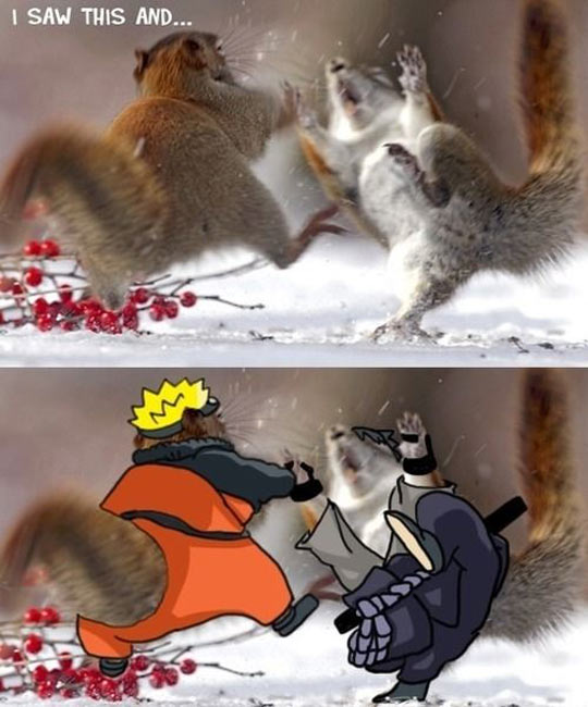 funny-picture-two-squirrel-fighting-snow-Naruto