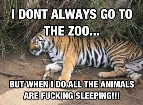 funny-picture-zoo-animals