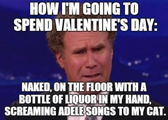 funny-picture-Will-Ferrell-Valentines-alone