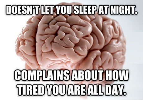 funny-picture-brain-tired-sleep