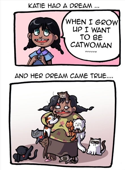 funny-picture-catwoman-dream-comics