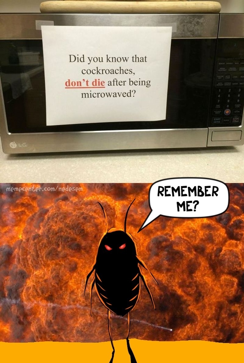 funny-picture-cockroach-badass.