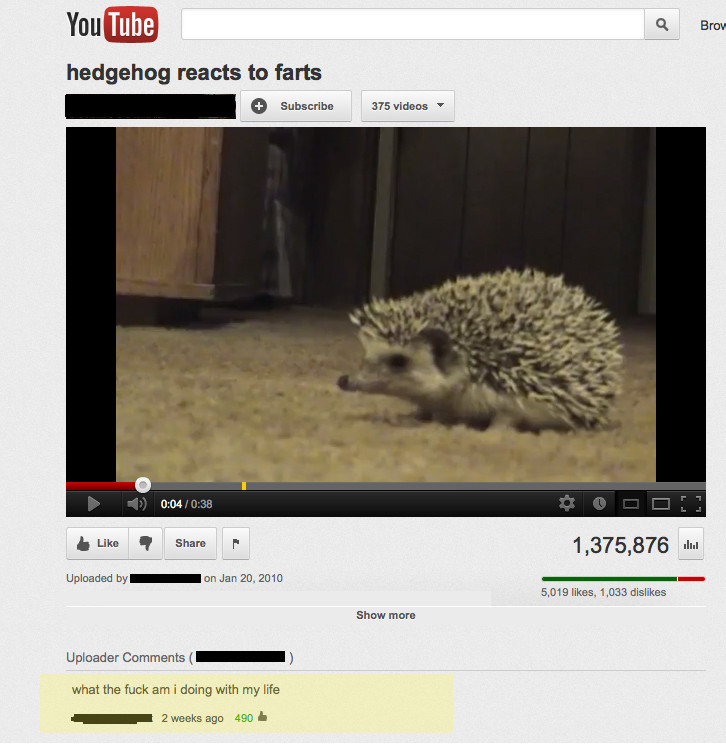 funny-picture-hedgehog-farts-life