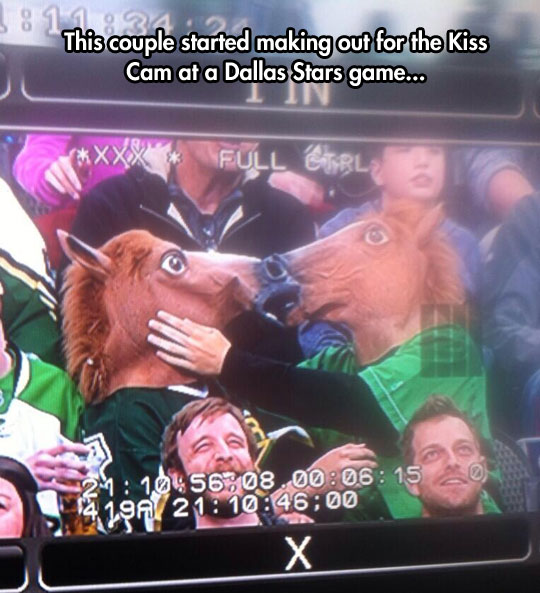 funny-picture-horse-kiss-football-game