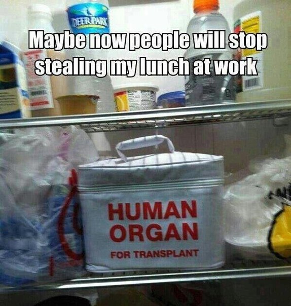 funny-picture-lunch-work