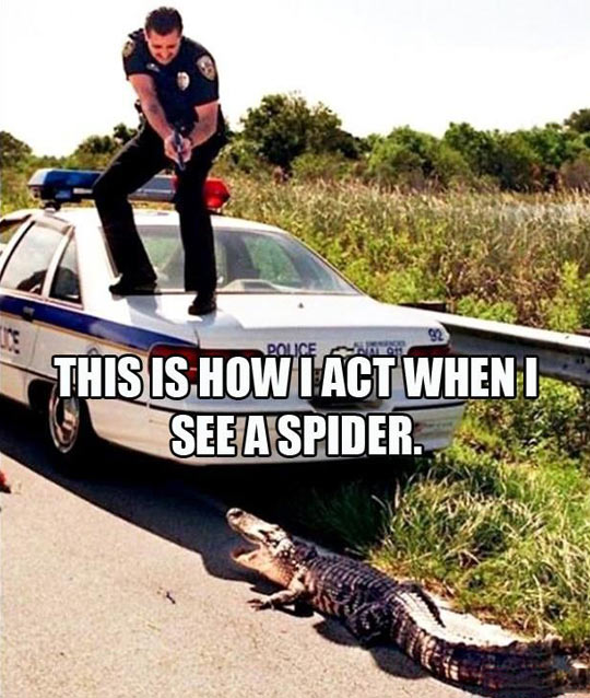 funny-picture-police-car-crocodile-scared-fire