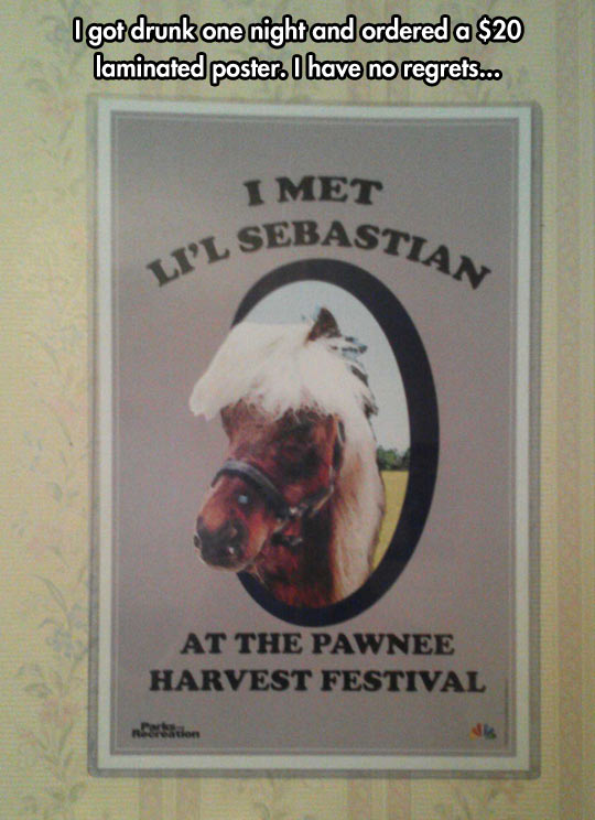 funny-picture-poster-Lil-Sebastian-Parks-and-Recreation