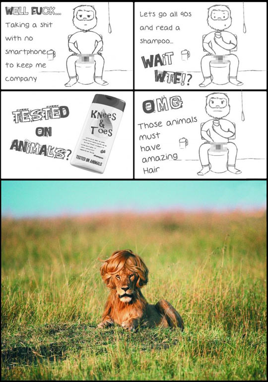 funny-picture-shampoo-bottle-toilet-lion