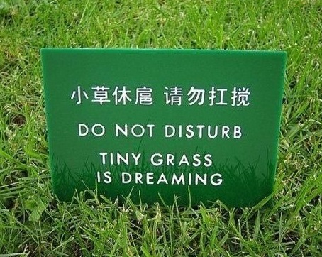 funny-picture-sign-grass-chinese