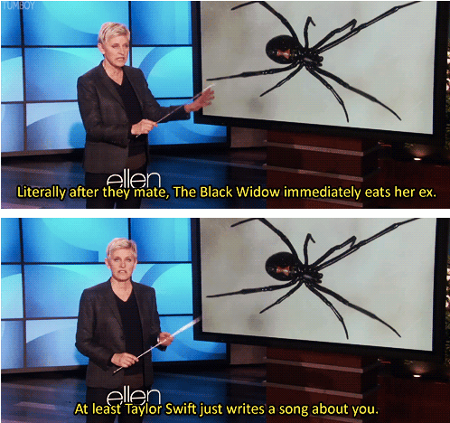 funny-picture-taylor-swift-black-widow