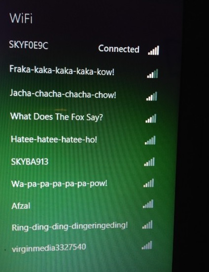 funny-picture-wi-fi-names