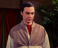 funny-gif-Sheldon-Cooper-meet-James-no