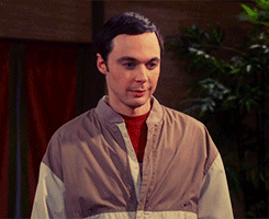 funny-gif-Sheldon-Cooper-meet-James-yes