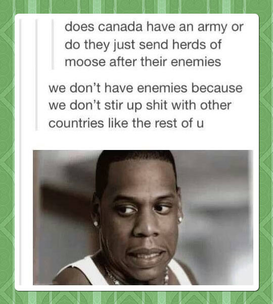 funny-picture-Canada-army-moose-enemies